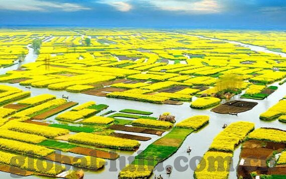 糖心app会员多少钱-甜蜜诱惑下的选择，解锁糖心APP会员的多样体验与价格探讨